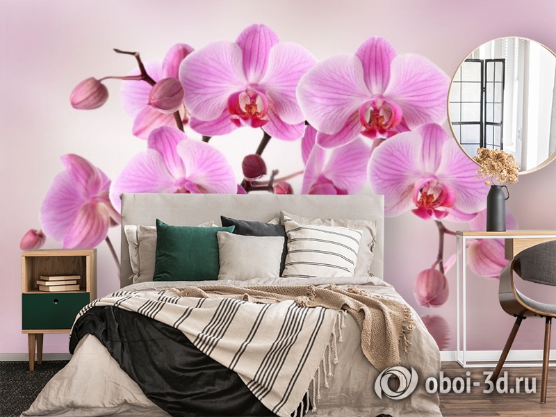 3D Фотообои «Розовая орхидея над водой» вид 4