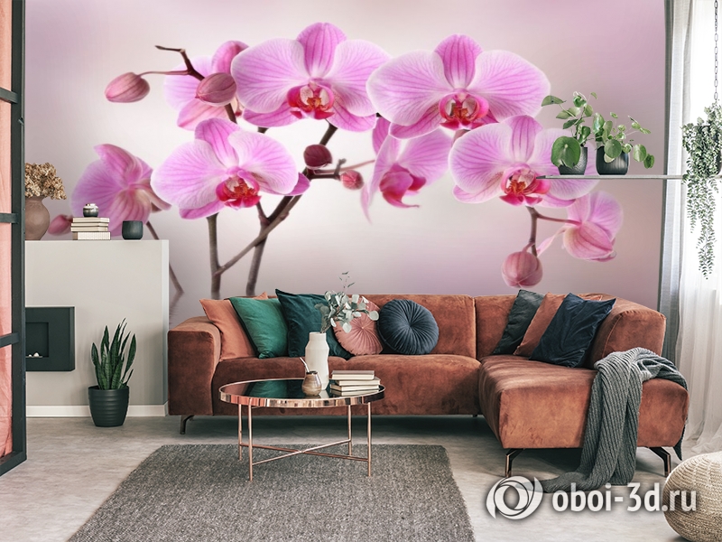 3D Фотообои «Розовая орхидея над водой» вид 3