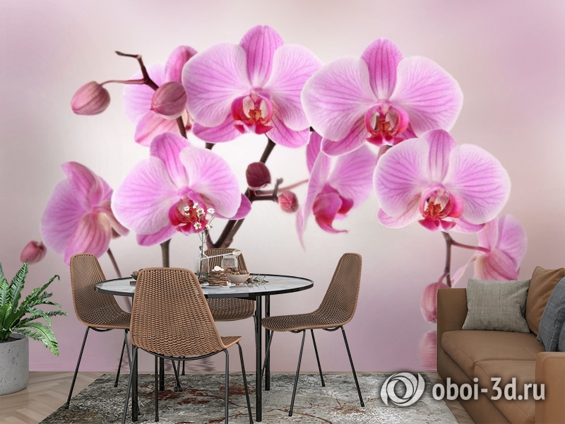 3D Фотообои «Розовая орхидея над водой» вид 2