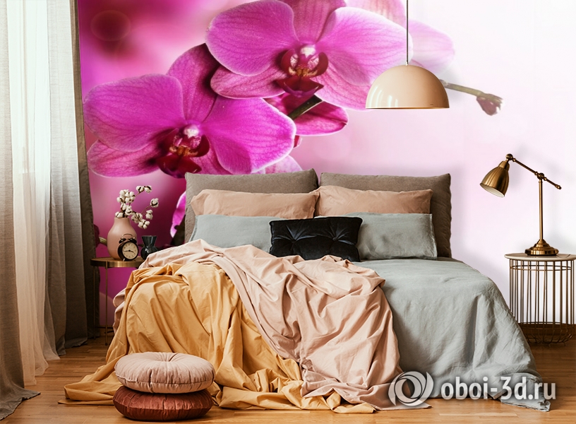 3D Фотообои «Розовая орхидея на нежном фоне» вид 6