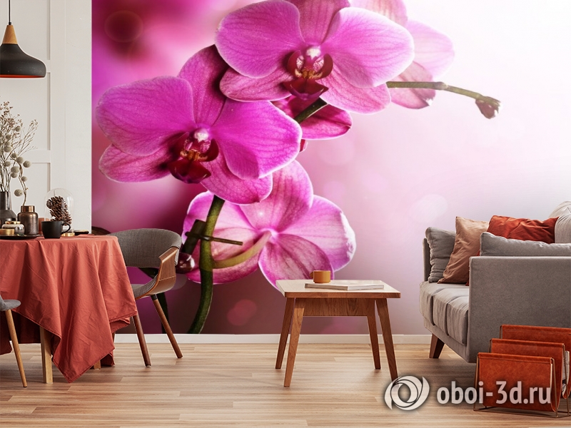 3D Фотообои «Розовая орхидея на нежном фоне» вид 5