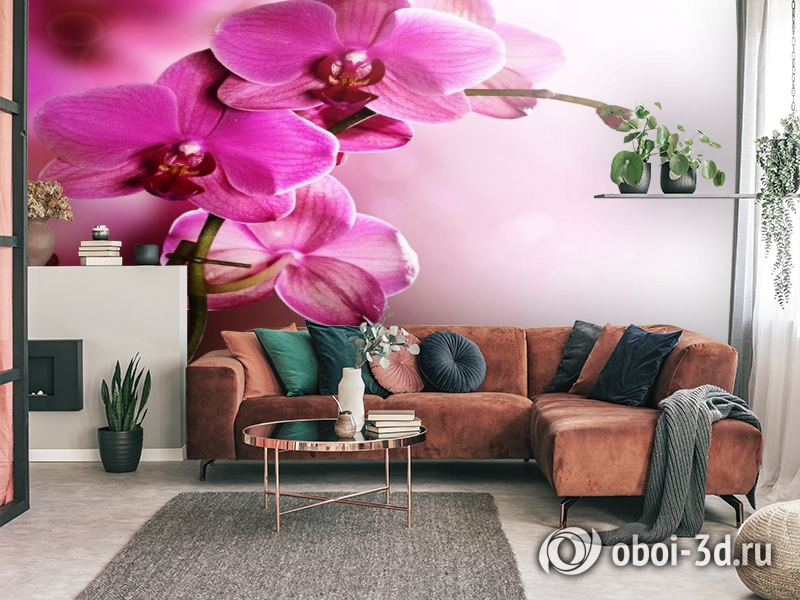 3D Фотообои «Розовая орхидея на нежном фоне» вид 3