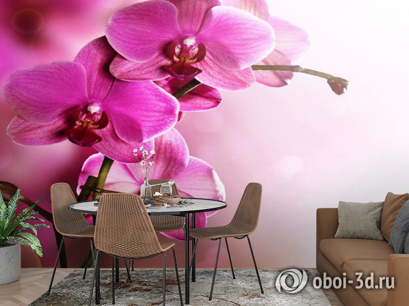 Каталог фотообоев с орхидеями