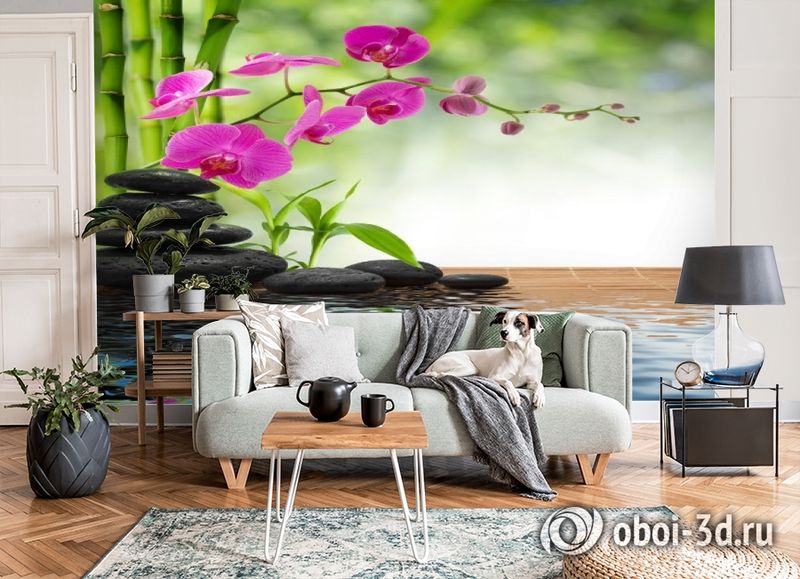 3D Фотообои «Цветы орхидеи и черная галька» вид 8