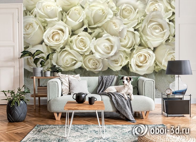 3D Фотообои «Белые розы на стекле» вид 8