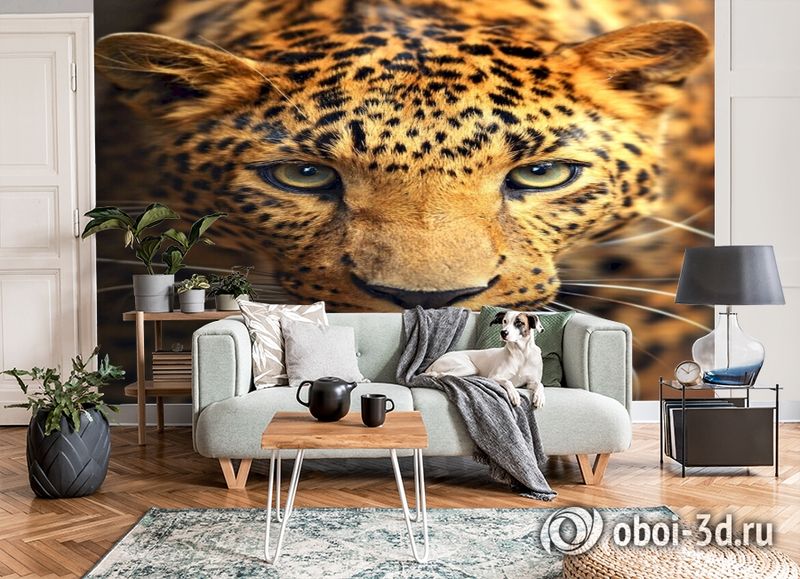 3D Фотообои  «Леопард портрет»  вид 6
