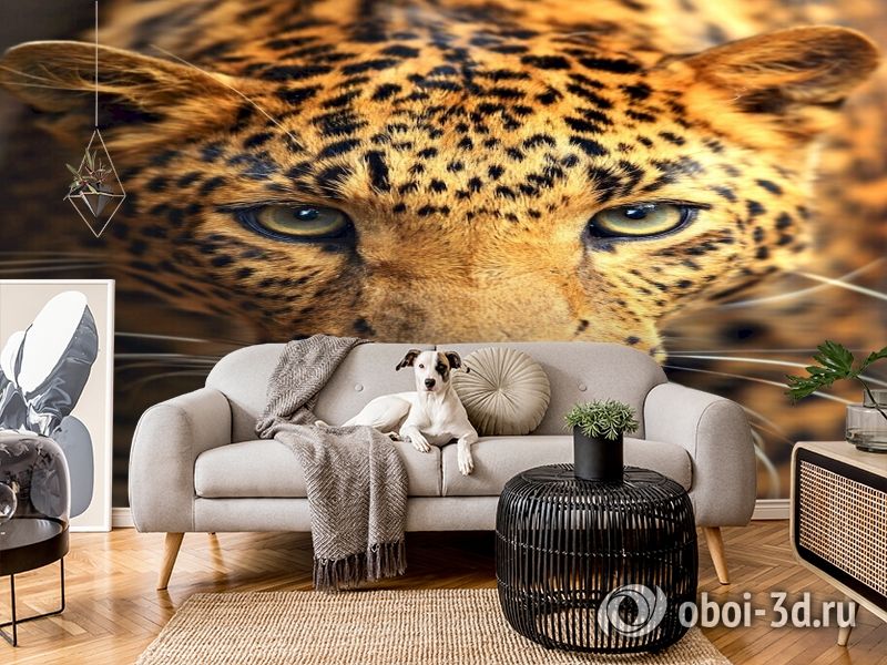 3D Фотообои  «Леопард портрет»  вид 4