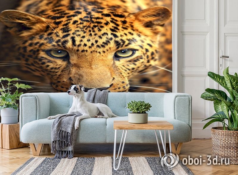 3D Фотообои  «Леопард портрет»  вид 2