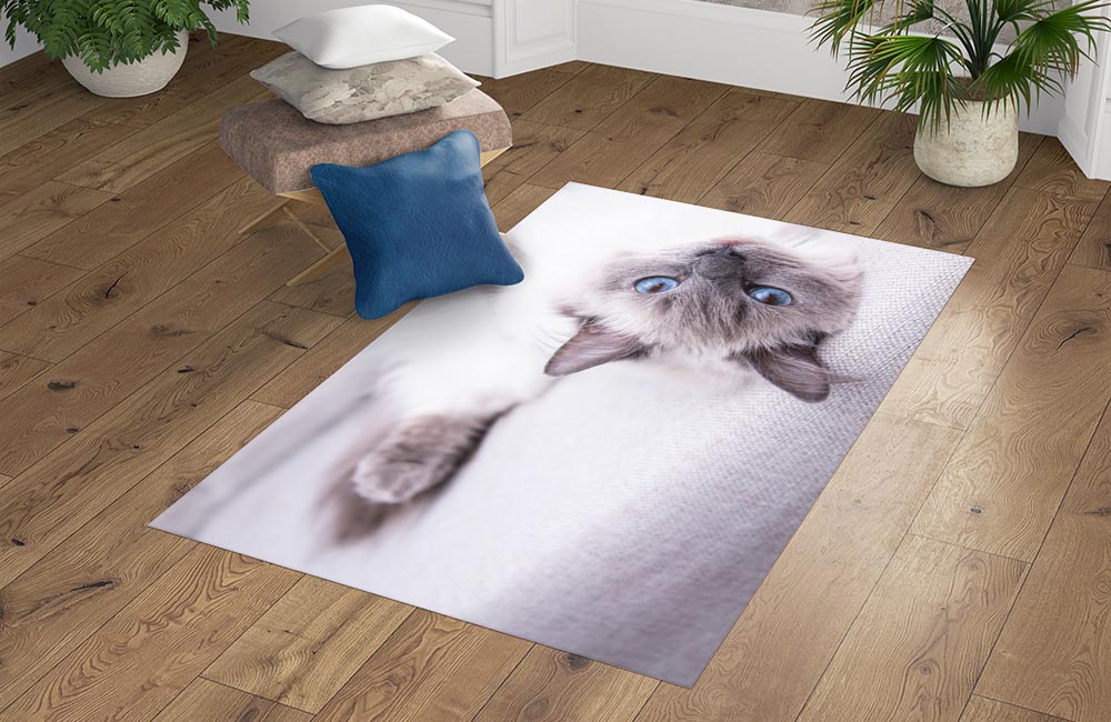 3D Ковер «Голубоглазая кошка» Прямоугольный 4