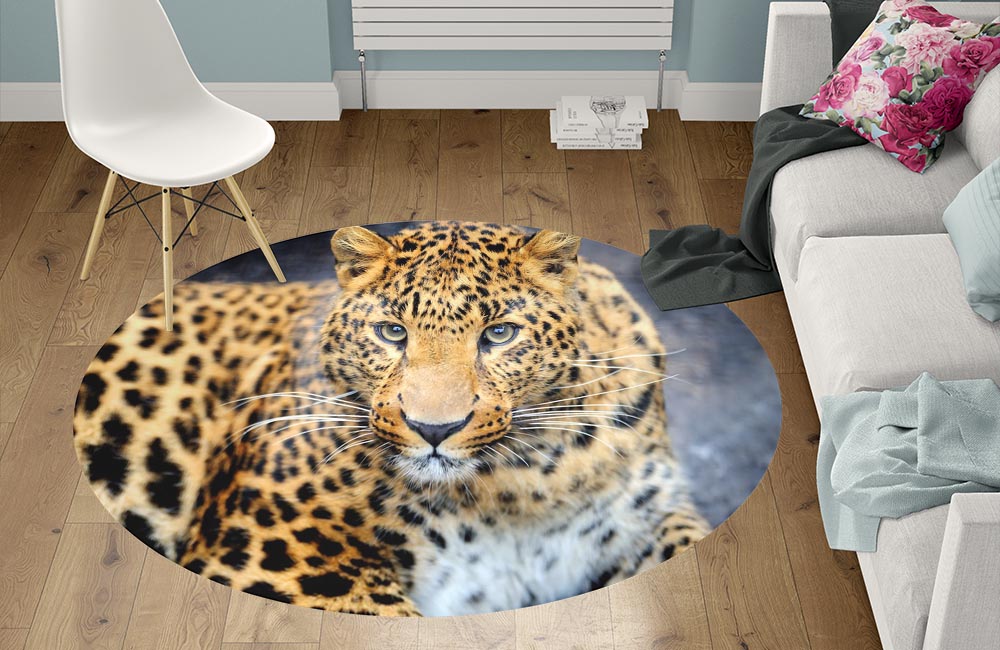 3D Ковер «Красивый леопард» Круглый 1