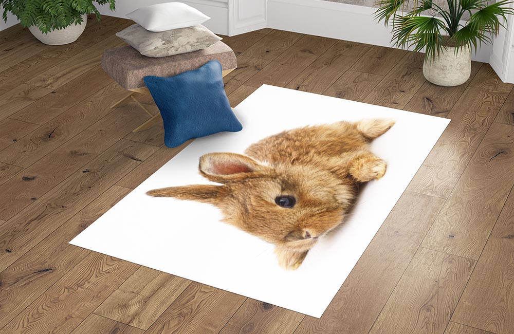 3D Ковер «Милый кролик» Прямоугольный 4