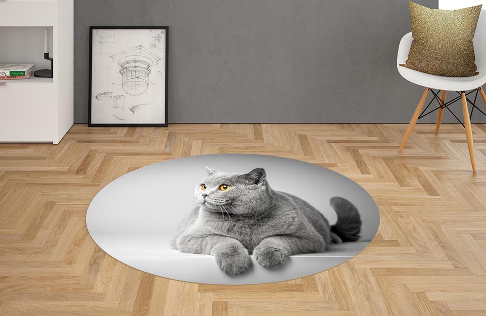 3D Ковер «Серый кот» Овальный 2