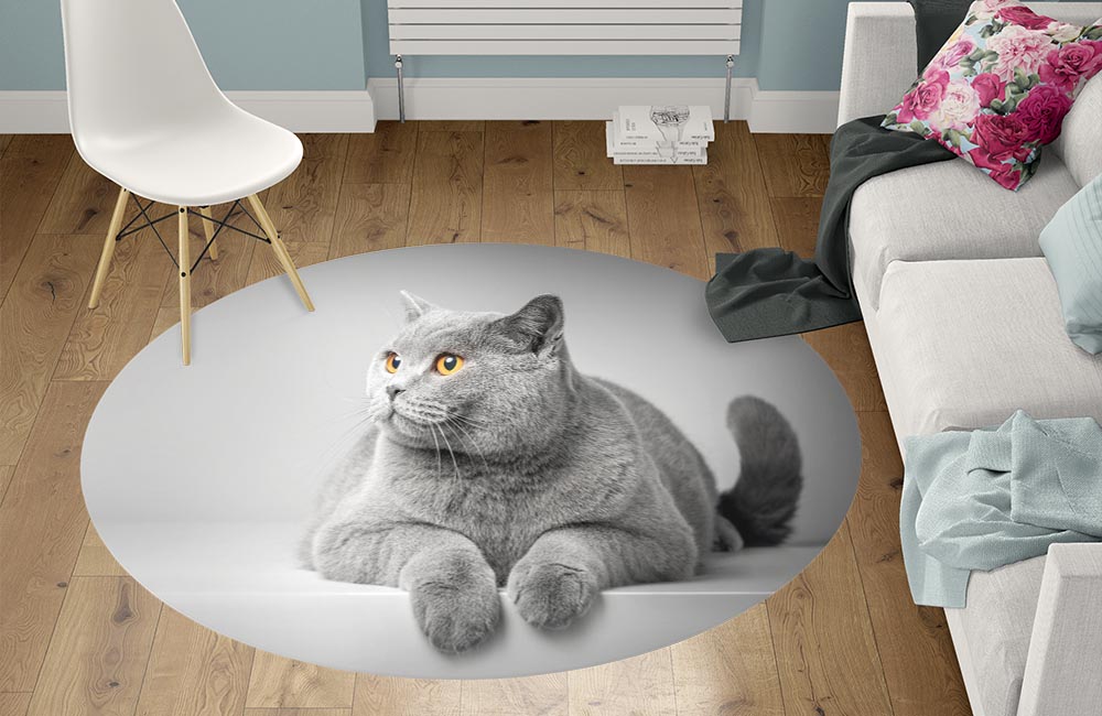 3D Ковер «Серый кот» Круглый 1