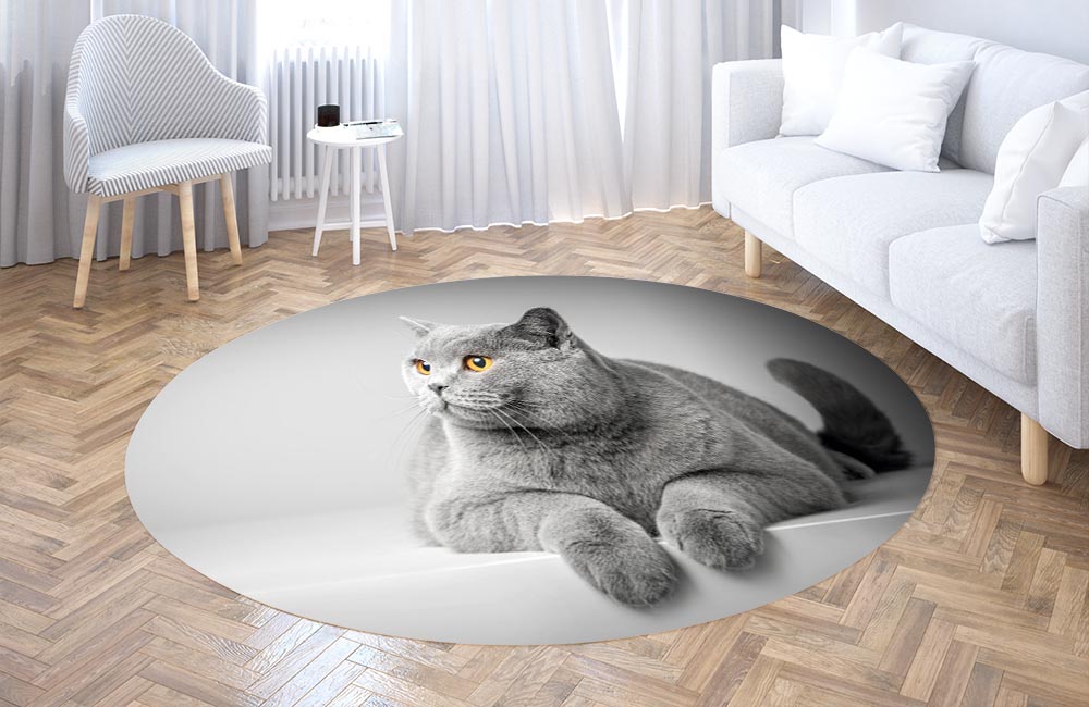 3D Ковер «Серый кот» Круглый 3