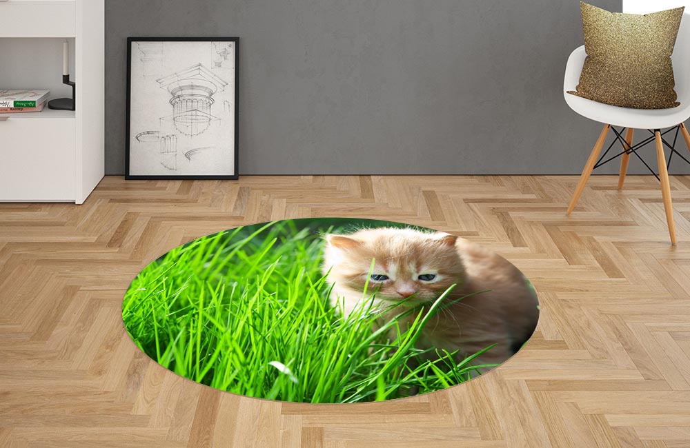 3D Ковер «Котенок на лужайке» Овальный 2