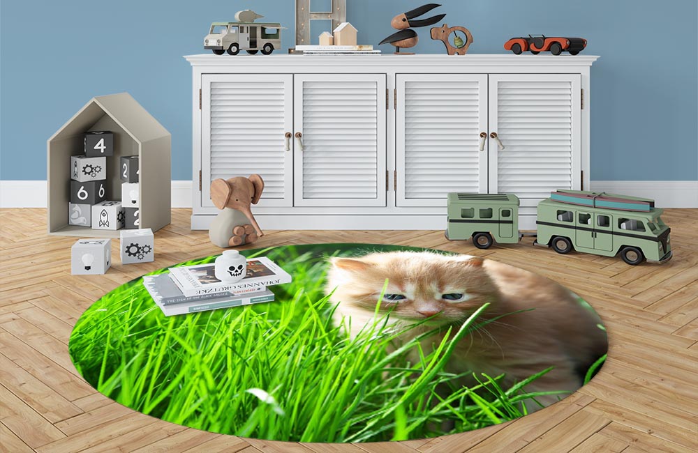 3D Ковер «Котенок на лужайке» Овальный 3