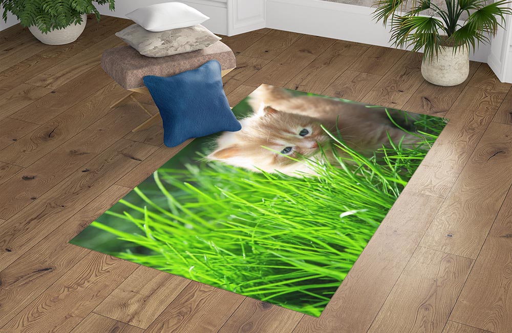3D Ковер «Котенок на лужайке» Прямоугольный 4