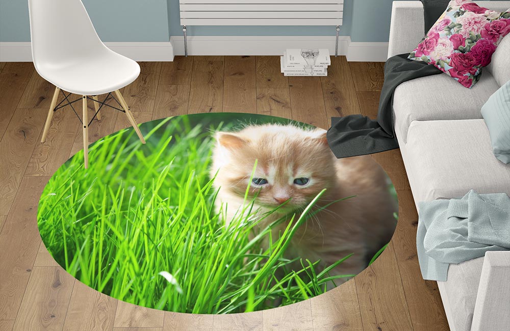 3D Ковер «Котенок на лужайке» Круглый 1
