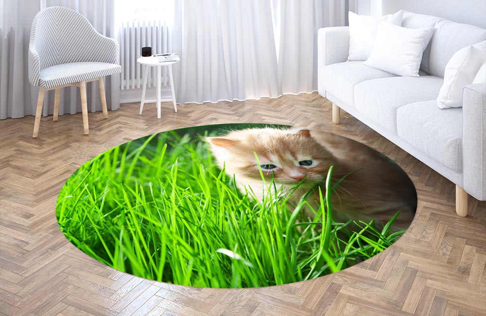 3D Ковер «Котенок на лужайке» Круглый 3