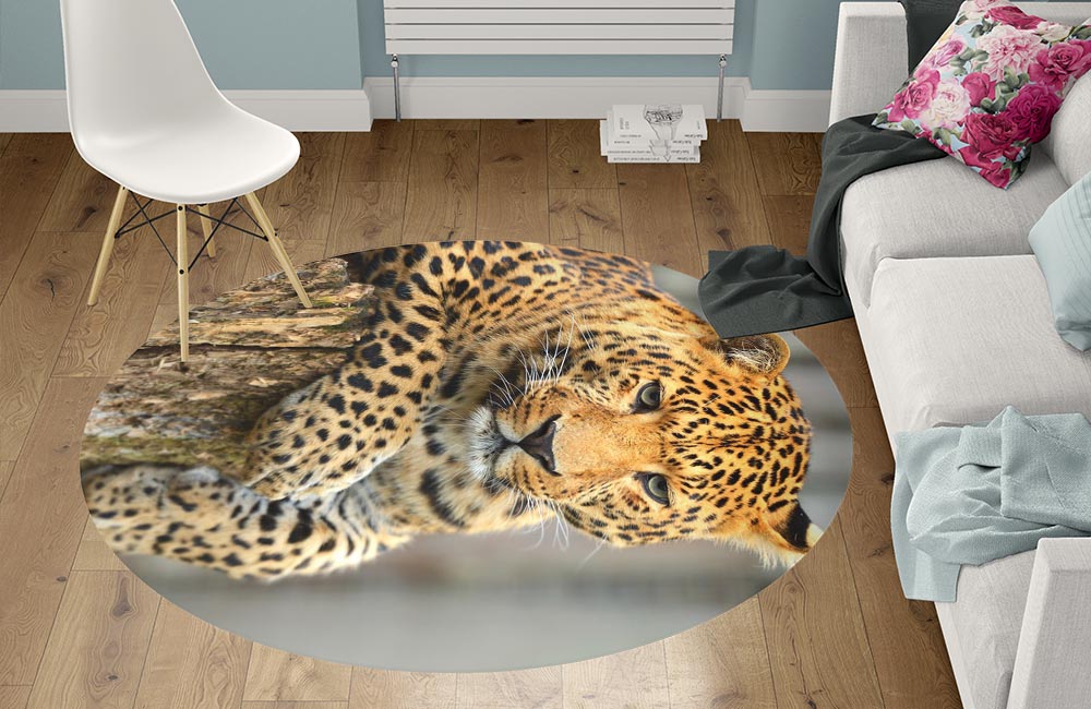 3D Ковер «Спокойный леопард» Круглый 1