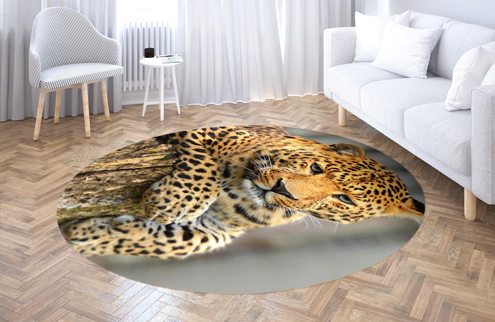3D Ковер «Спокойный леопард» Круглый 3
