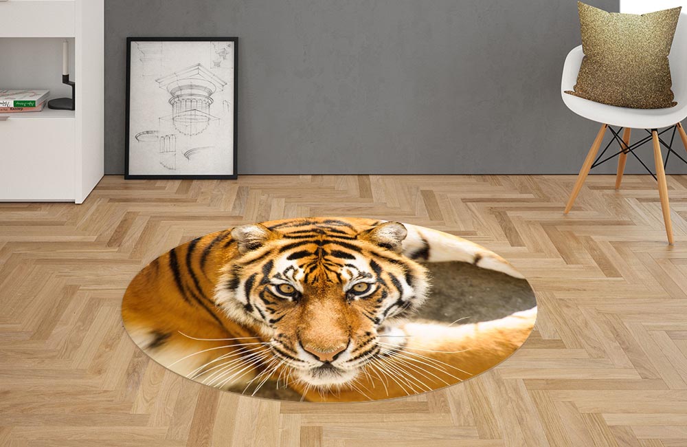 3D Ковер «Тигриный взгляд» Овальный 2