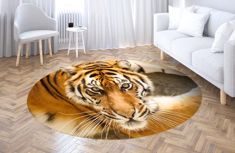 3D Ковер «Тигриный взгляд» Круглый 3