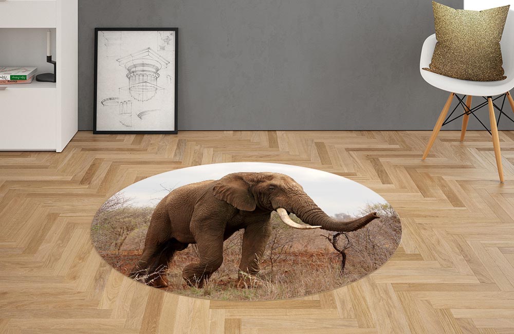 3D Ковер «Слон на прогулке» Овальный 2