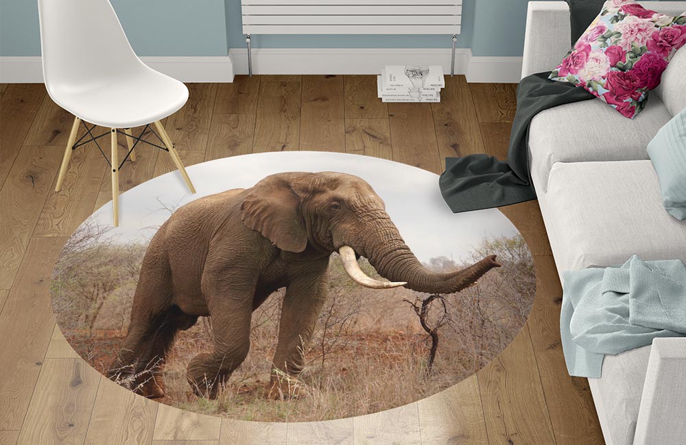 3D Ковер «Слон на прогулке» Круглый 1
