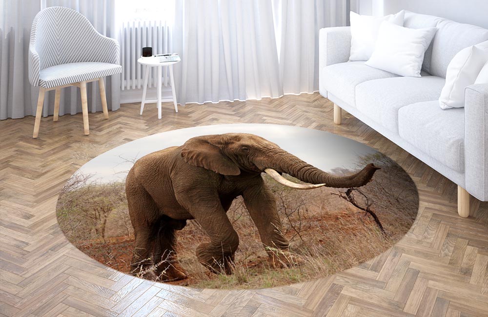 3D Ковер «Слон на прогулке» Круглый 3